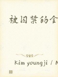 被囚禁的金丝雀