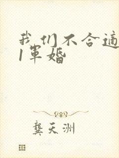 我们不合适1v1军婚