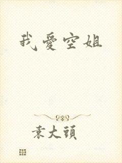 我爱空姐