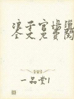 浪子官场猎艳记全文免费阅读