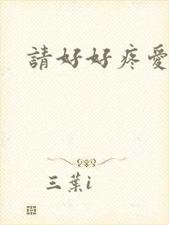 请好好疼爱里面