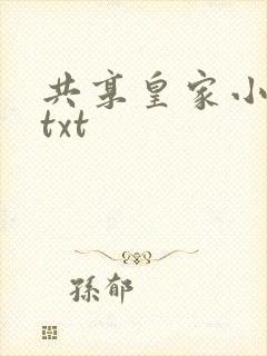 共享皇家小公主txt