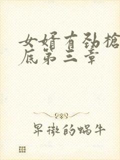 女婿有劲枪枪到底第三章