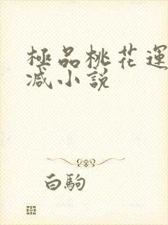 极品桃花运未删减小说