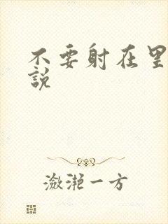 不要射在里面小说