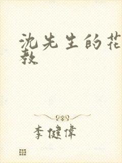 沈先生的花式调教