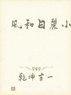 风和日丽小说