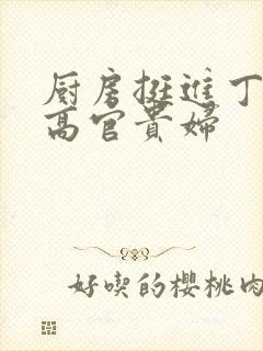 厨房挺进丁字裤高官贵妇