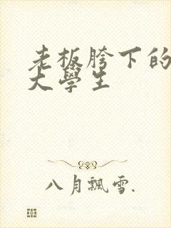 老板胯下的秘书大学生