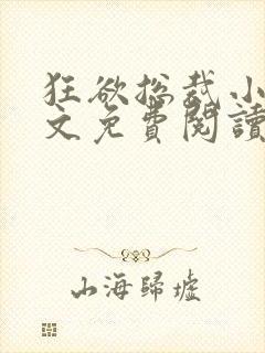 狂欲总裁小说全文免费阅读