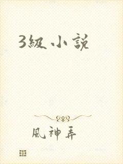 3级小说