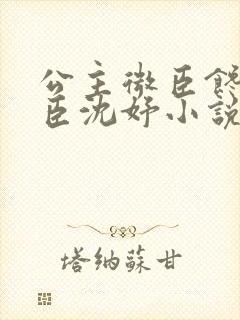 公主微臣馋了微臣沈妤小说