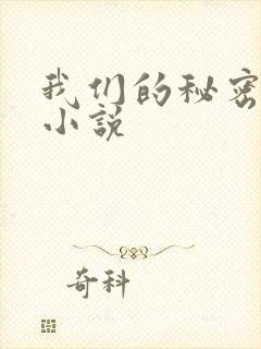 我们的秘密泰剧小说
