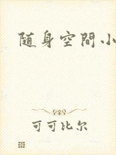 随身空间小说
