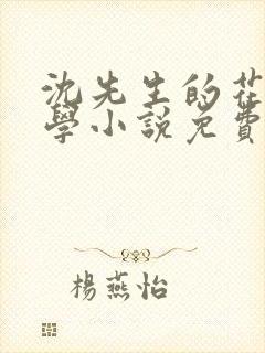 沈先生的花式教学小说免费