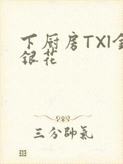 下厨房TXl金银花