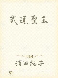武道圣王