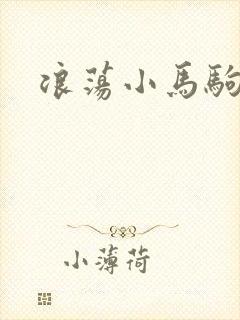 浪荡小马驹