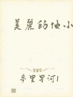美丽的他小说