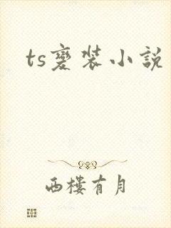 ts变装小说