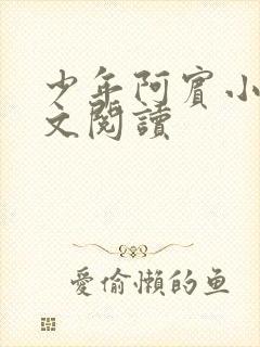 少年阿宾小说全文阅读