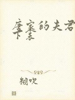 唐家的夫君们帘下衾