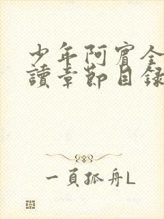 少年阿宾全文阅读章节目录