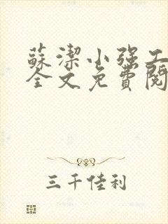 苏洁小强工地情全文免费阅读