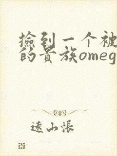 捡到一个被抹布的贵族omega