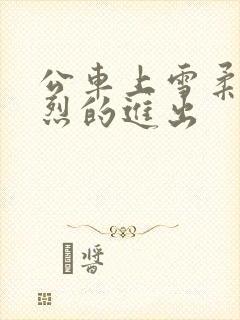 公车上雪柔被猛烈的进出