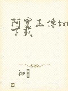 阿宾正传txt下载