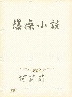 爆操小说