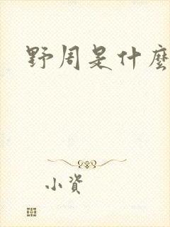 野周是什么意思