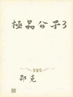 极品公子3