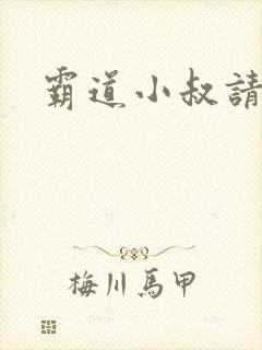 霸道小叔请轻撩