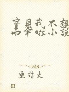 宝贝我不想带小雨伞啦小说