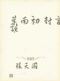 叶南初 封言小说