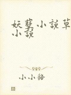 妖孽小说草莓酱小说