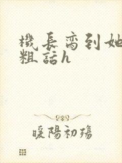 机长脔到她哭h粗话h