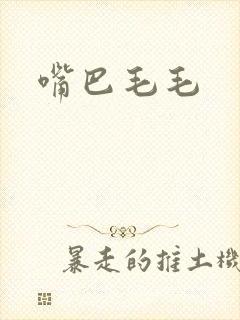 嘴巴毛毛