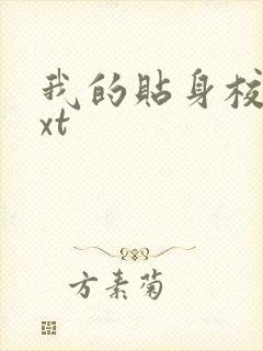 我的贴身校花txt