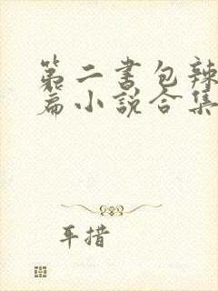 第二书包辣网短篇小说合集