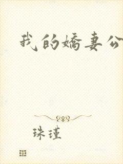 我的娇妻公务员