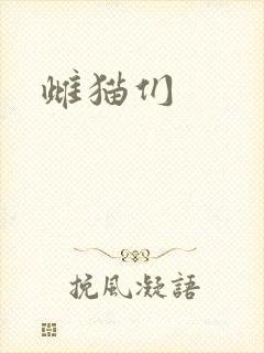 雌猫们