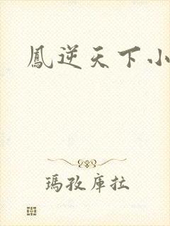 凤逆天下小说