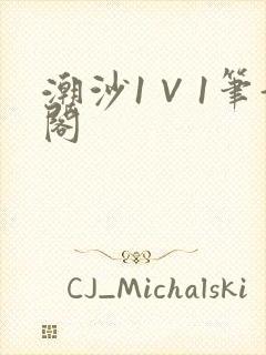 潮沙1∨1笔趣阁