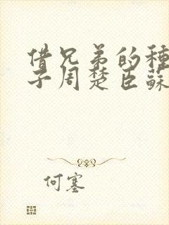 借兄弟的种生孩子周楚臣苏糖