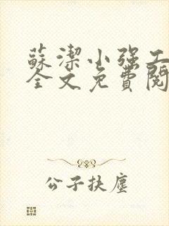 苏洁小强工地情全文免费阅读