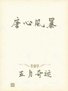 唐心风暴