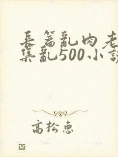 长篇乱肉老师合集乱500小说